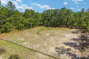 13130 SW 76th Ln, Dunnellon, FL 34432 - Photo 62