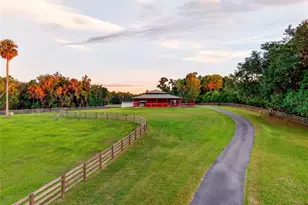 7000 NW Hwy 320, Micanopy, FL 32667 - Photo 14