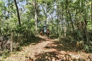 7000 NW Hwy 320, Micanopy, FL 32667 - Photo 72