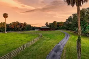 7000 NW Hwy 320, Micanopy, FL 32667 - Photo 6