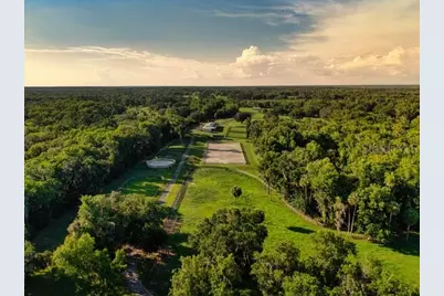 7000 NW Hwy 320, Micanopy, FL 32667 - Photo 4