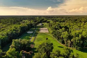 7000 NW Hwy 320, Micanopy, FL 32667 - Photo 4