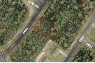 Lot 17 SW 169th Pl, Ocala, FL 34473 - Photo 1