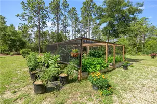 3372 W Webster Pl, Citrus Springs, FL 34433 - Photo 24