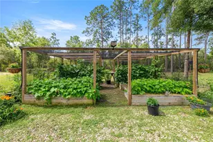 3372 W Webster Pl, Citrus Springs, FL 34433 - Photo 22