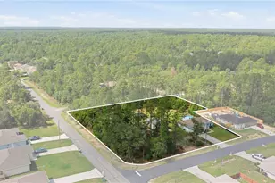 3372 W Webster Pl, Citrus Springs, FL 34433 - Photo 2