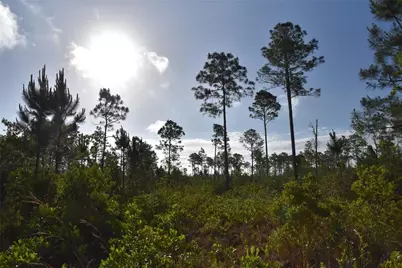 22370 NE 130th Avenue, Fort Mc Coy, FL 32134 - Photo 6