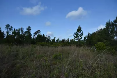 22370 NE 130th Avenue, Fort Mc Coy, FL 32134 - Photo 24