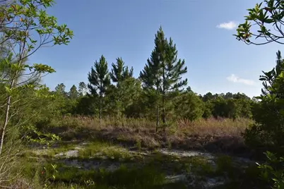 22370 NE 130th Avenue, Fort Mc Coy, FL 32134 - Photo 28