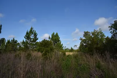 22370 NE 130th Avenue, Fort Mc Coy, FL 32134 - Photo 22