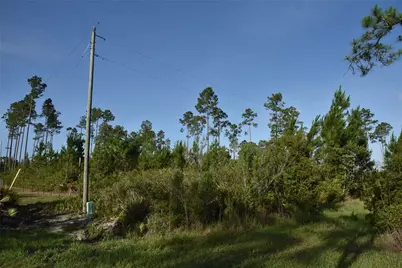 22370 NE 130th Avenue, Fort Mc Coy, FL 32134 - Photo 4