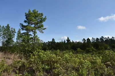 22370 NE 130th Avenue, Fort Mc Coy, FL 32134 - Photo 32