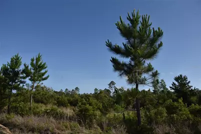 22370 NE 130th Avenue, Fort Mc Coy, FL 32134 - Photo 30
