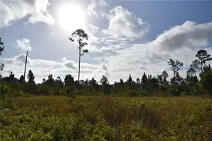 22370 NE 130th Ave, Fort Mc Coy, FL 32134 - Photo 1