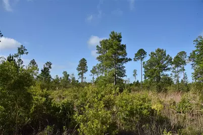 22370 NE 130th Avenue, Fort Mc Coy, FL 32134 - Photo 38