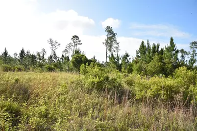 22370 NE 130th Avenue, Fort Mc Coy, FL 32134 - Photo 10