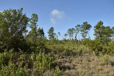 22370 NE 130th Avenue, Fort Mc Coy, FL 32134 - Photo 20