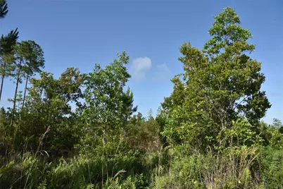 22370 NE 130th Avenue, Fort Mc Coy, FL 32134 - Photo 16