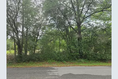 Sw 202nd Court, Dunnellon, FL 34431 - Photo 4