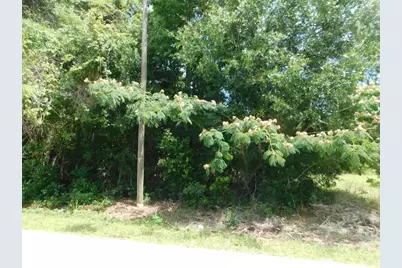 0 NW 66th Street, Ocala, FL 34475 - Photo 2