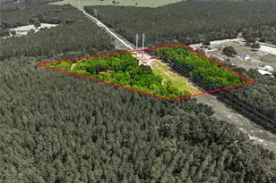7050 NE State Road 121, Williston, FL 32696 - Photo 48