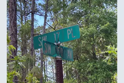 Tbd SW 159th Avenue, Ocala, FL 34481 - Photo 6