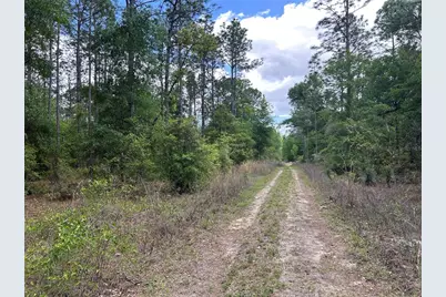 Tbd SW 159th Avenue, Ocala, FL 34481 - Photo 2