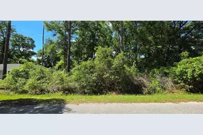 Lot 10 NW 61 Lane, Ocala, FL 34482 - Photo 1