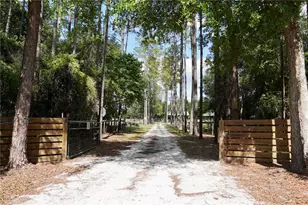 7191 NE 150th Ave, Williston, FL 32696 - Photo 4