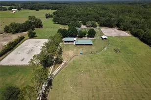 7191 NE 150th Ave, Williston, FL 32696 - Photo 1