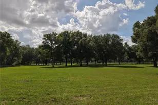 7191 NE 150th Ave, Williston, FL 32696 - Photo 40