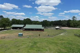 7191 NE 150th Ave, Williston, FL 32696 - Photo 24