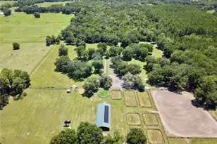7191 NE 150th Ave, Williston, FL 32696 - Photo 48