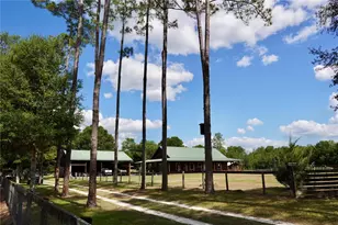 7191 NE 150th Ave, Williston, FL 32696 - Photo 1