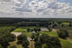 7191 NE 150th Ave, Williston, FL 32696 - Photo 38
