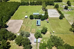 7191 NE 150th Ave, Williston, FL 32696 - Photo 46