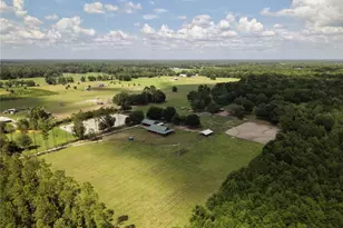 7191 NE 150th Ave, Williston, FL 32696 - Photo 42