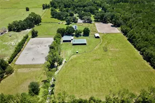 7191 NE 150th Ave, Williston, FL 32696 - Photo 26