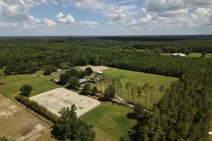 7191 NE 150th Ave, Williston, FL 32696 - Photo 44