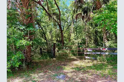 Old Crystal River Road, Brooksville, FL 34601 - Photo 1