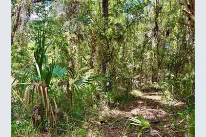 Old Crystal River Road, Brooksville, FL 34601 - Photo 2