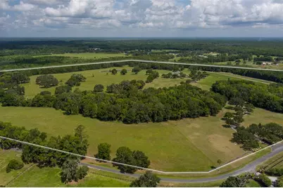 9095 NW 200th Street Road, Micanopy, FL 32667 - Photo 26