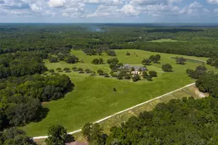 9095 NW 200th Street Rd, Micanopy, FL 32667 - Photo 22