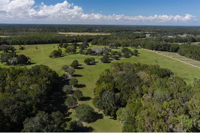 9095 NW 200th Street Road, Micanopy, FL 32667 - Photo 24