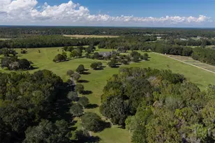 9095 NW 200th Street Rd, Micanopy, FL 32667 - Photo 24