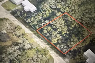 Tbd SE 44th Ave, Summerfield, FL 34491 - Photo 1