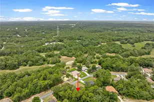 10065 N Langdon Rd, Citrus Springs, FL 34434 - Photo 54