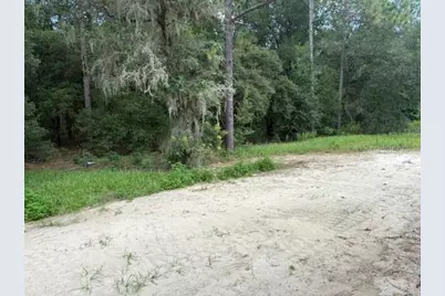 17889 SW 61st Lane Road, Dunnellon, FL 34432 - Photo 12