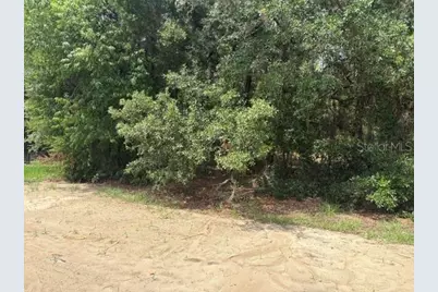 17889 SW 61st Lane Road, Dunnellon, FL 34432 - Photo 8