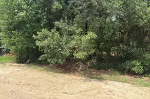 17889 SW 61st Ln Rd, Dunnellon, FL 34432 - Photo 8